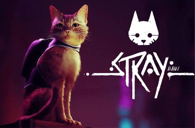 قصة لعبة Stray